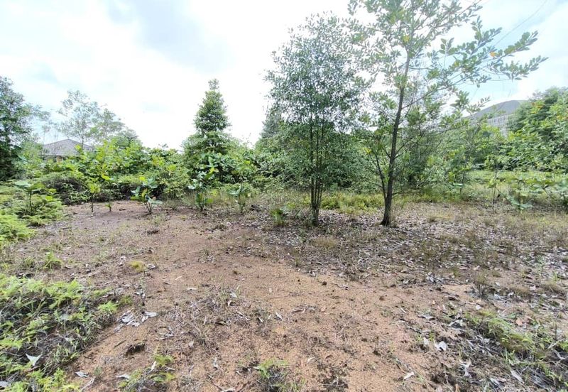 Desa Palma, Nasa City