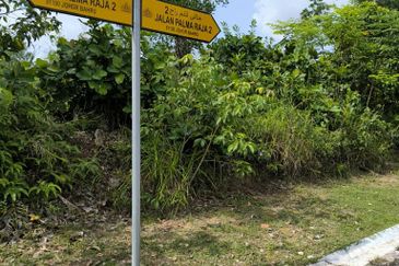 Desa Palma, Nasa City