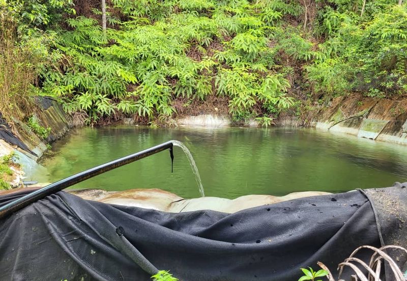 agriland tapah kuala woh