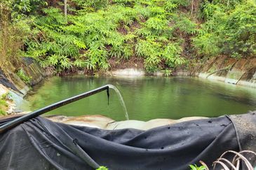 agriland tapah kuala woh