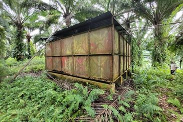 agriland tapah kuala woh