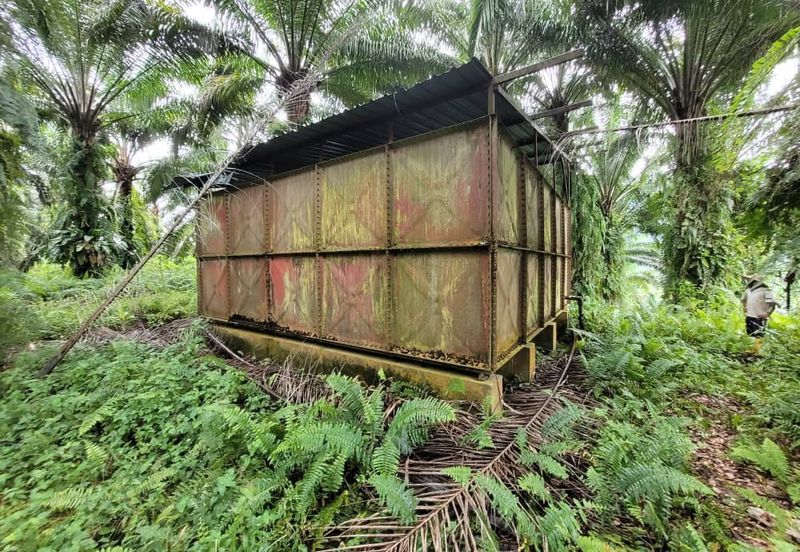 agriland tapah kuala woh