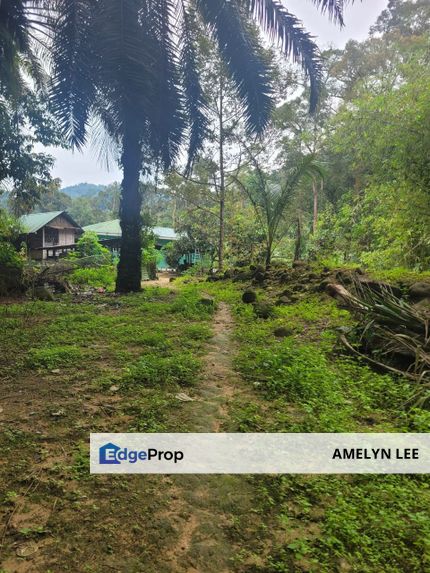 GOPENG AGRICULTURE LAND FOR SALES, Perak, Kampar