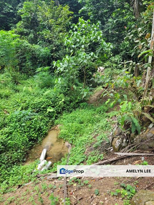 GOPENG AGRICULTURE LAND FOR SALES, Perak, Kampar