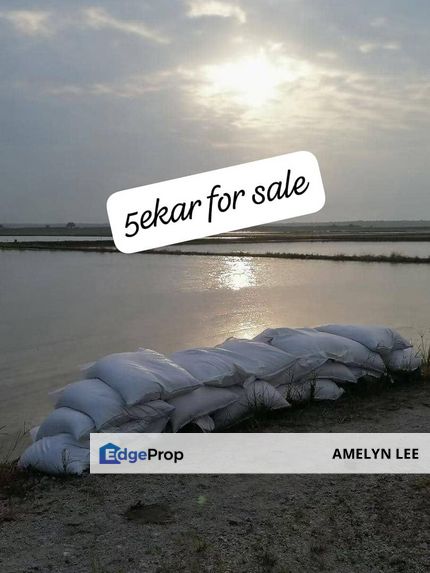 LANGKAP AGRICULTURE LAND FOR SALES, Perak, Kampong Gajah