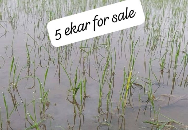 Langkap Agricultural Land