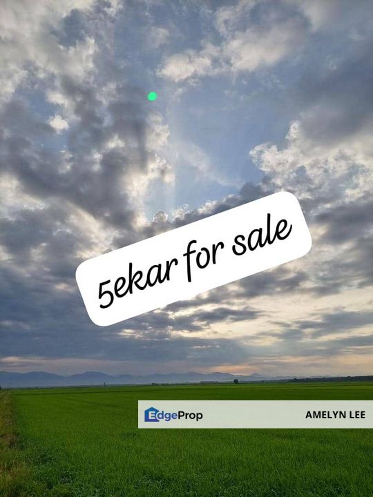 LANGKAP AGRICULTURE LAND FOR SALES, Perak, Kampong Gajah