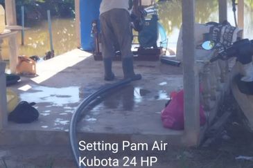 Kuala kangsar durian farm