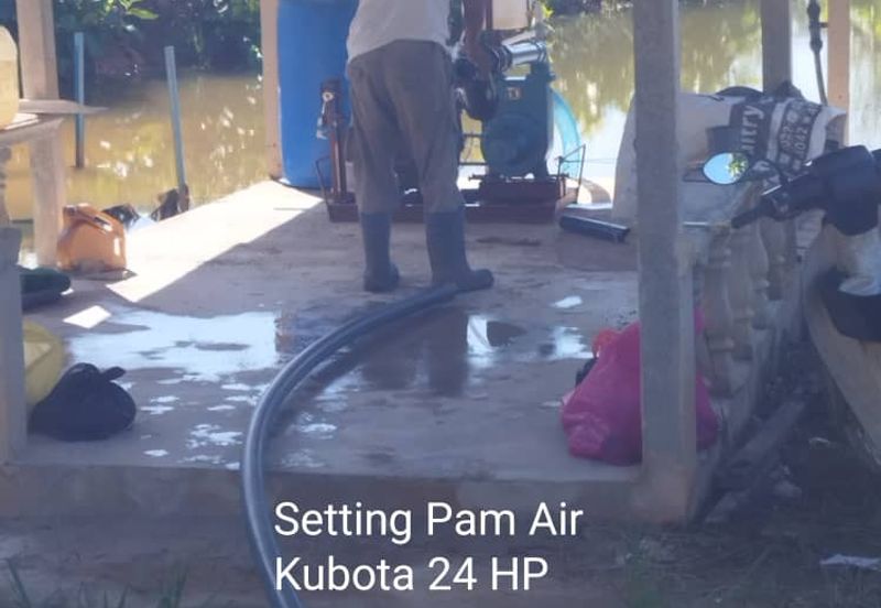 Kuala kangsar durian farm