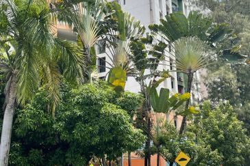 City Garden Palm Villa Condominium