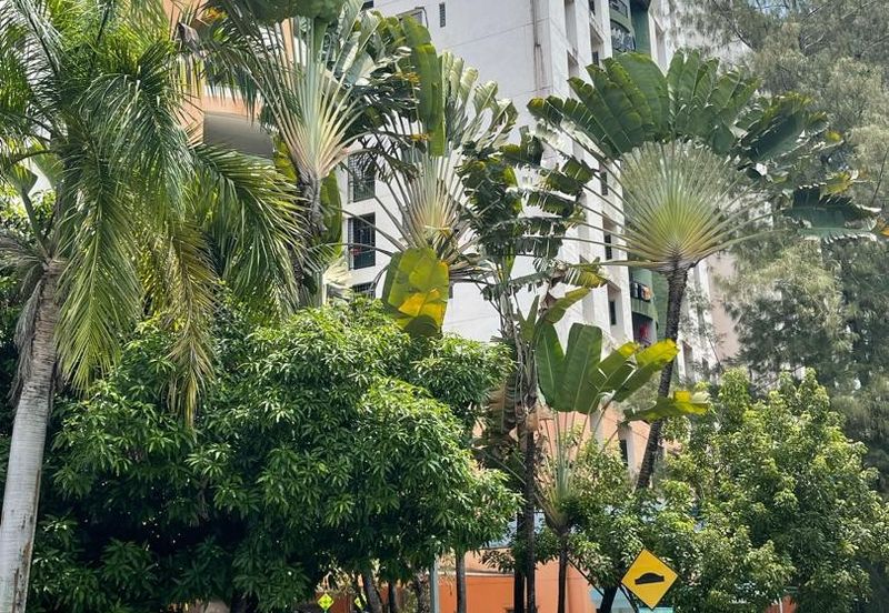 City Garden Palm Villa Condominium