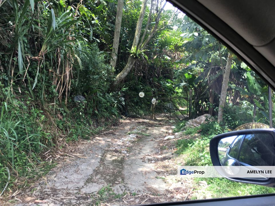 cameron agriculture land, Pahang, Cameron Highlands