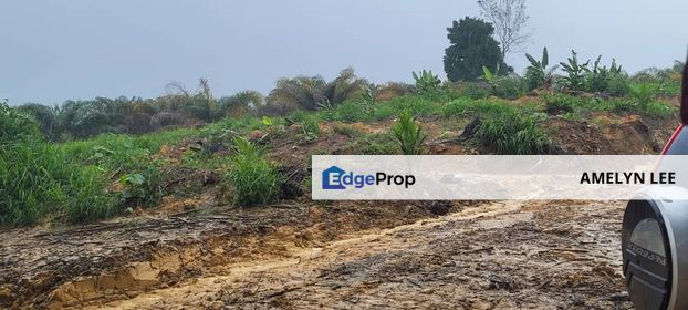 bidor agriculture land, Perak, Batang Padang