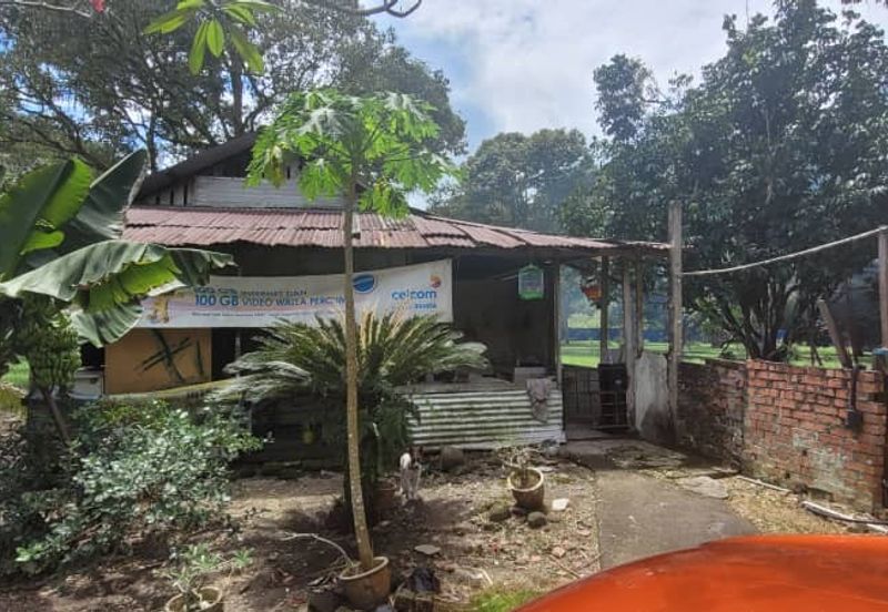 Agricultural Land durian farm at Batang Kali Genting Highland