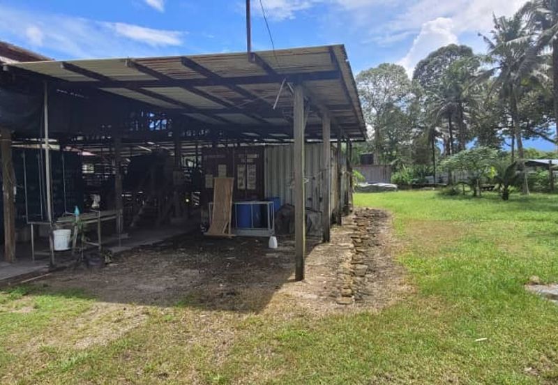 Agricultural Land durian farm at Batang Kali Genting Highland