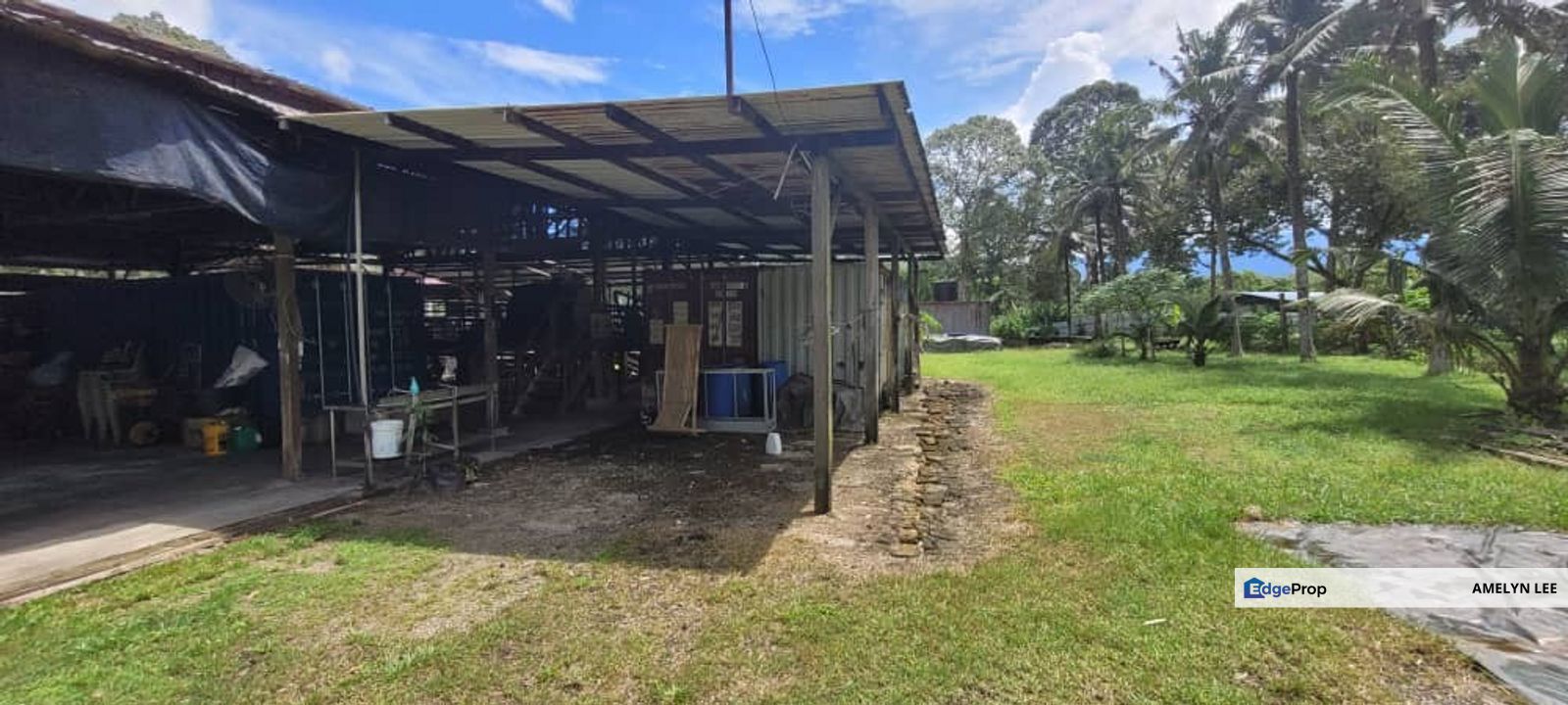 Agricultural Land durian farm at Batang Kali Genting Highland, Selangor, Batang Kali