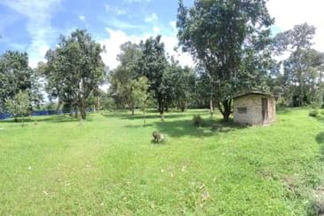 Agricultural Land durian farm at Batang Kali Genting Highland