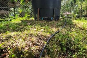 Agricultural Land durian farm at Batang Kali Genting Highland