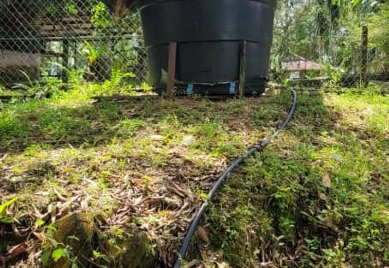 Agricultural Land durian farm at Batang Kali Genting Highland