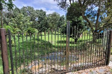 Agricultural Land durian farm at Batang Kali Genting Highland