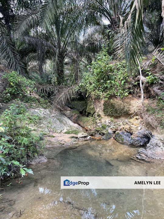 bidor agriculture land, Perak, Batang Padang