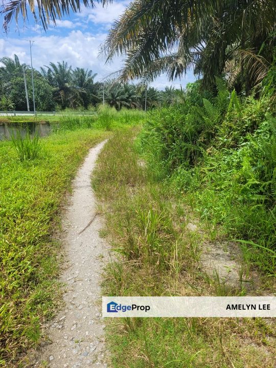 AGRI  LAND-JLN CHANGKAT SULAIMAN(SUNGKAI) MAINROAD NEAR LANGKAP, Perak, Kampong Gajah