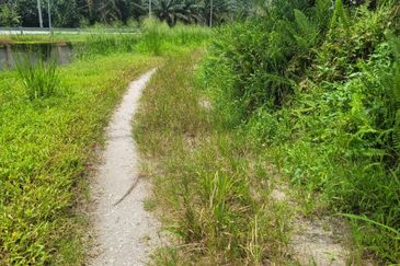 Langkap Agricultural Land