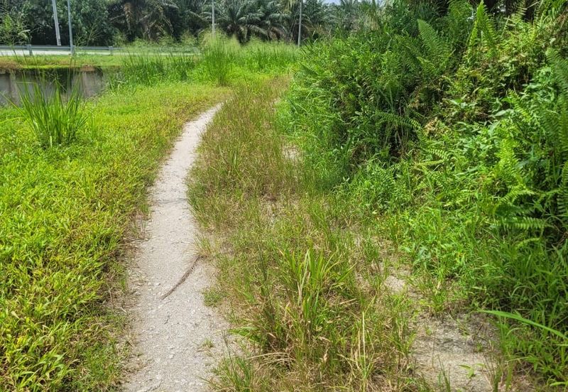 Langkap Agricultural Land