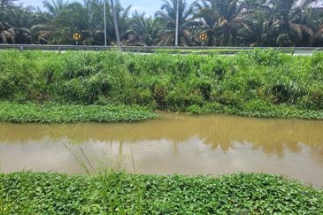 Langkap Agricultural Land