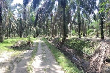 Langkap Agricultural Land
