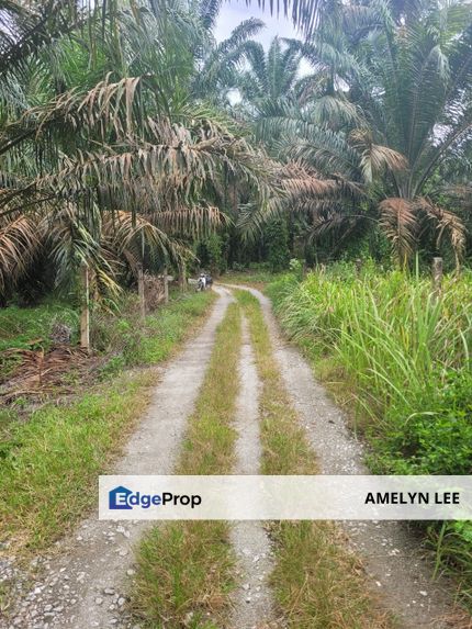 AGRI LAND-JLN CHANGKAT SULAIMAN(SUNGKAI), Perak, Sungkai