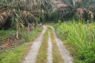 AGRI LAND-JLN CHANGKAT SULAIMAN(SUNGKAI)