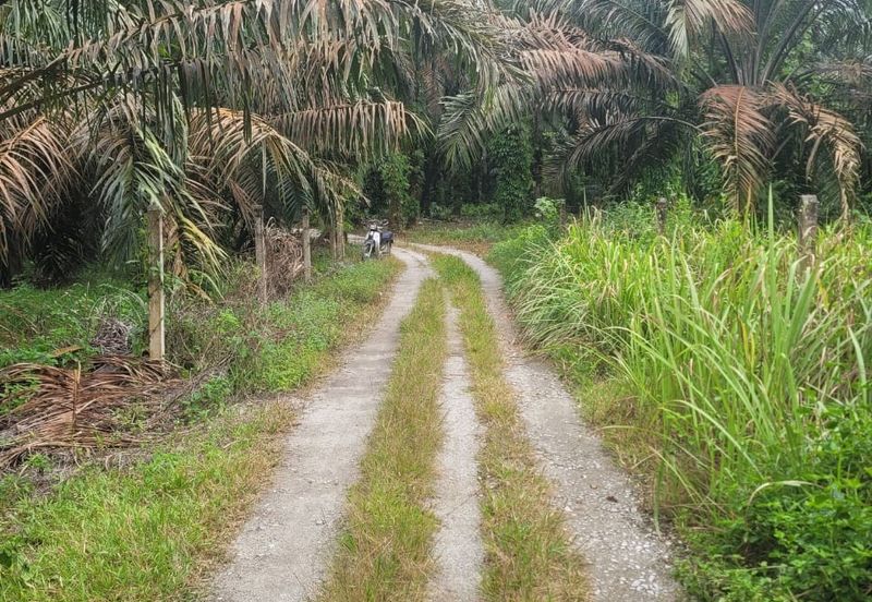 AGRI LAND-JLN CHANGKAT SULAIMAN(SUNGKAI)