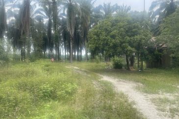 AGRI LAND TEMOH Perak BIRD NEST&POND