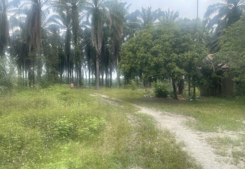 AGRI LAND TEMOH Perak BIRD NEST&POND