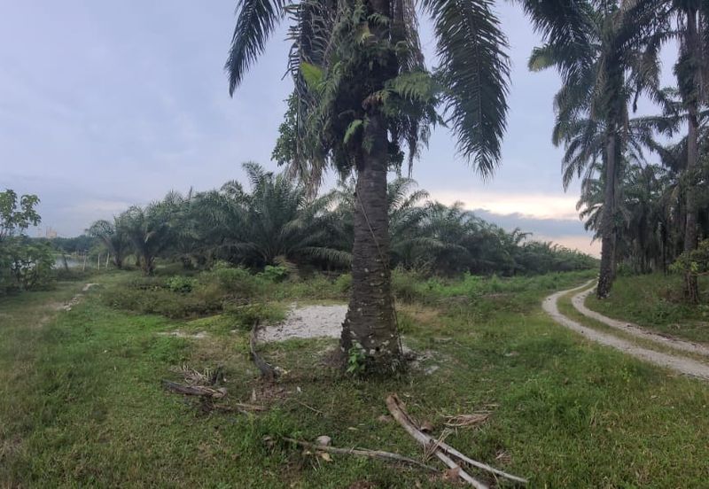 AGRI LAND TEMOH Perak BIRD NEST&POND