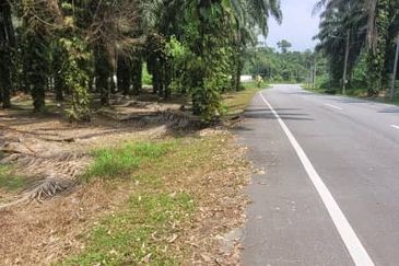 AGRI  LAND- JLN TAPAH 