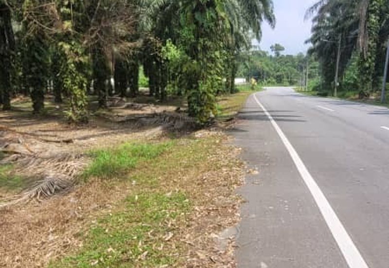 AGRI  LAND- JLN TAPAH 