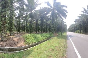 AGRI  LAND- JLN TAPAH 
