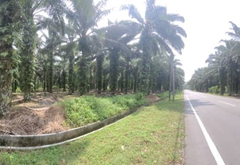 AGRI  LAND- JLN TAPAH 