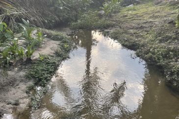 AGRI  LAND- JLN TAPAH 