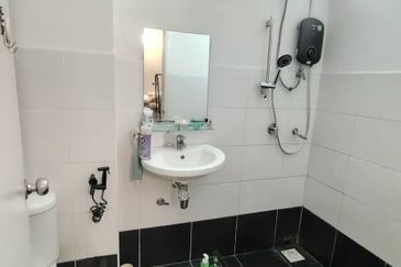 The Rainforest @ Eco Tropics