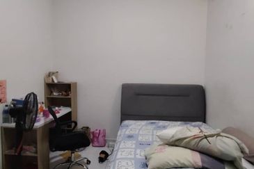 The Rainforest @ Eco Tropics