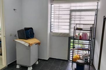 The Rainforest @ Eco Tropics