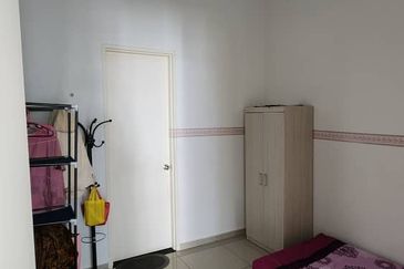 The Rainforest @ Eco Tropics