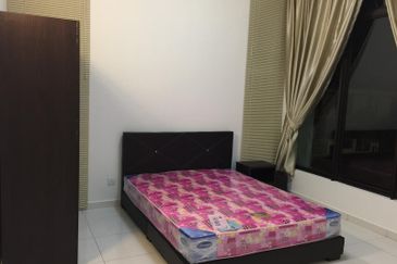 The Rainforest @ Eco Tropics