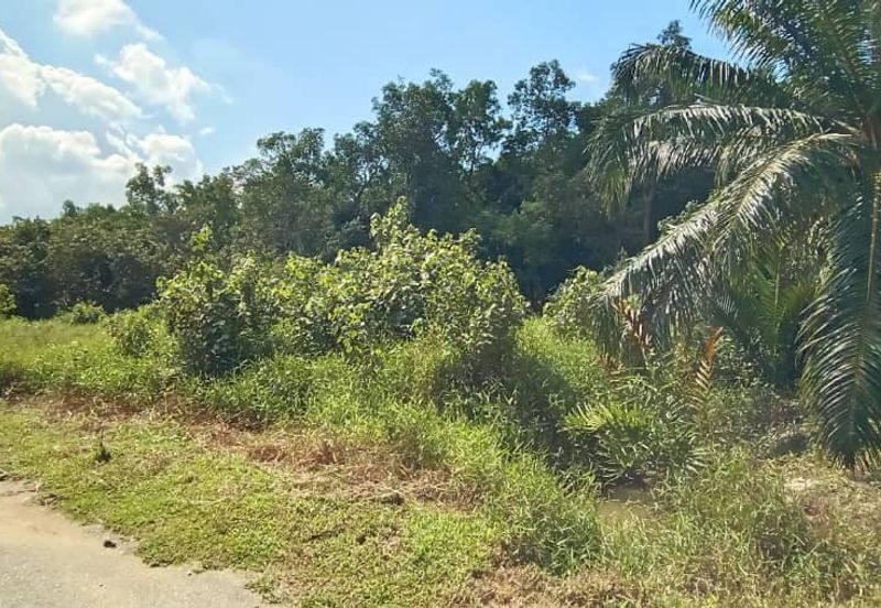 Tanah Lot Kampung Chuah PD [Tanah sudah rata + ada geran individu]