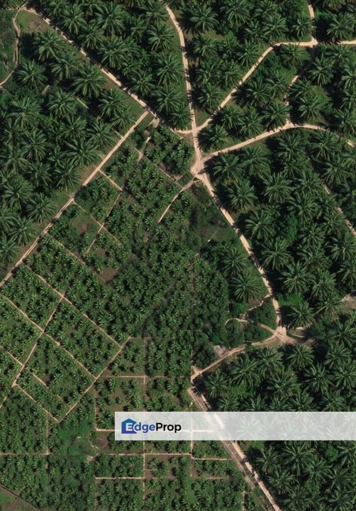 Bukit Changgang, Kuala Langat, Selangor - Leasehold Agricultural Land for Sale, Selangor, Kuala Langat