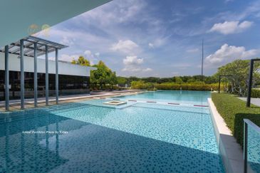 Terraza @ Eco Sanctuary