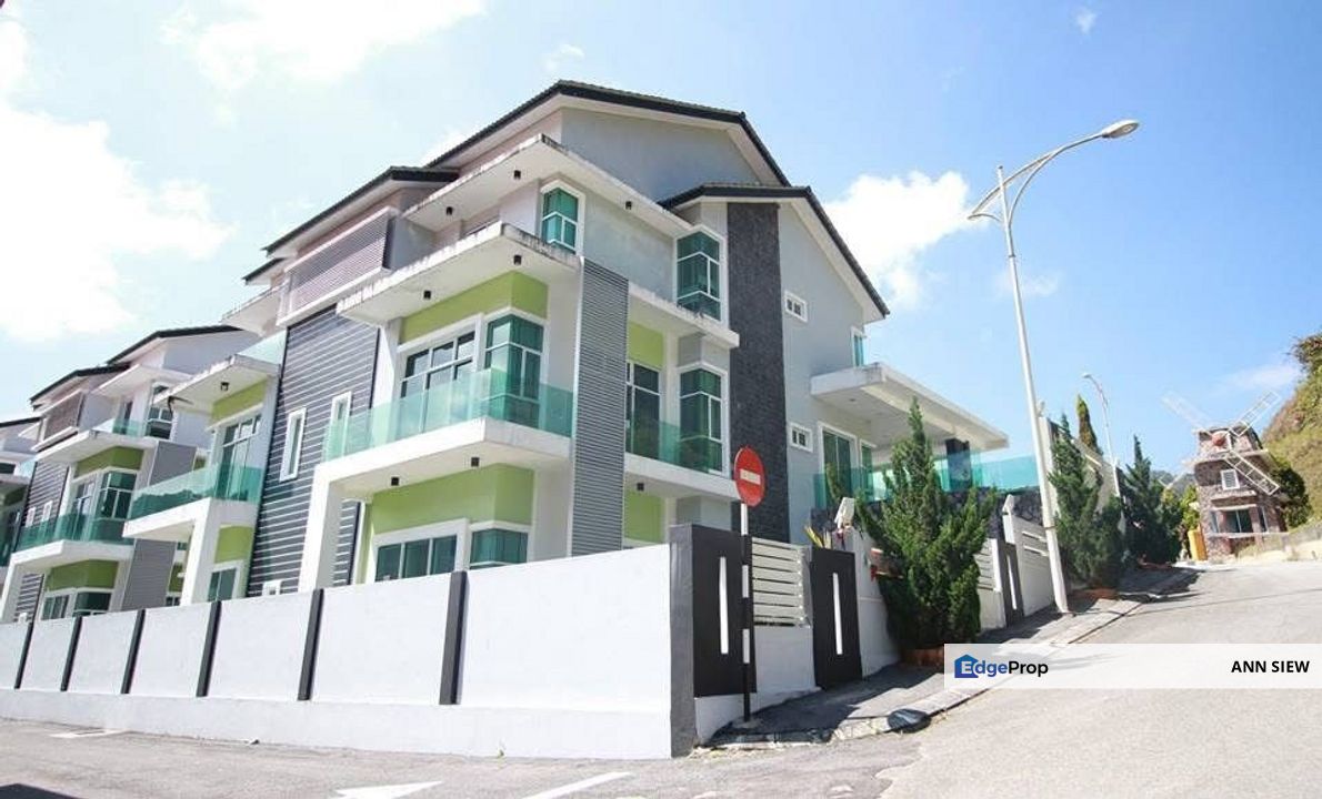 Oriental lily @ Yara Hills Cameron Highland, Pahang, Cameron Highlands